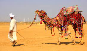 Captivating Desert Safari at Jaisalmer - 1 Night and Days